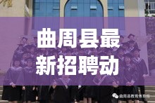 网站案例 第4页