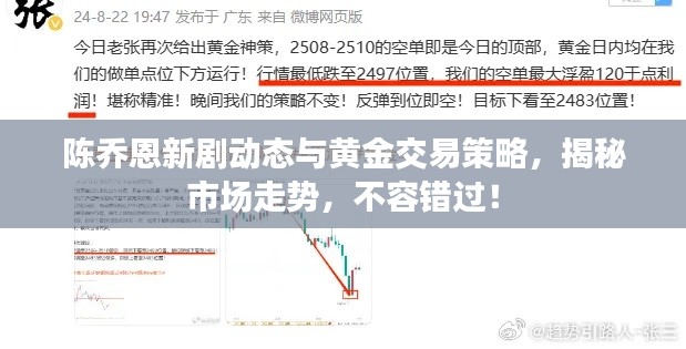 陈乔恩新剧动态与黄金交易策略，揭秘市场走势，不容错过！