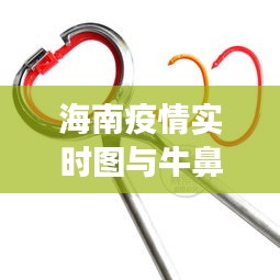 海南疫情实时图与牛鼻环市场动态，多元视角下的观察分析