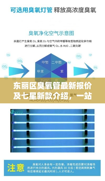 东丽区臭氧管最新报价及七星新款介绍,一站式了解!