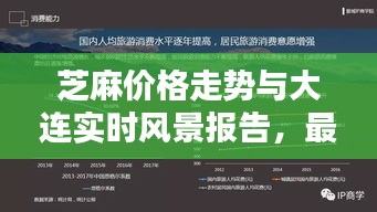 网站案例 第3页