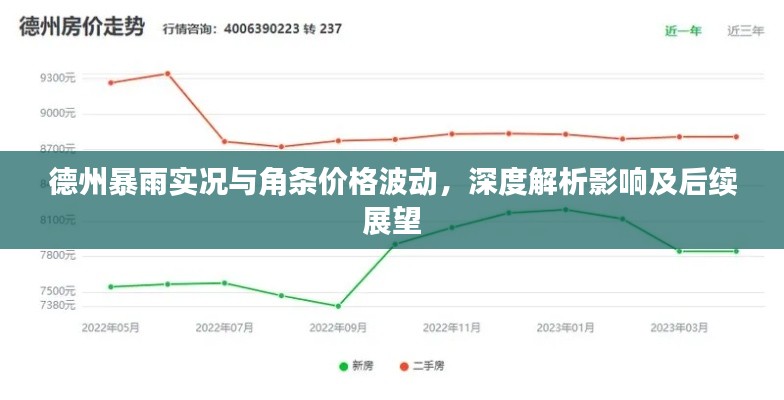 德州暴雨实况与角条价格波动，深度解析影响及后续展望