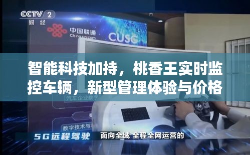 智能科技加持,桃香王实时监控车辆,新型管理体验与价格揭秘