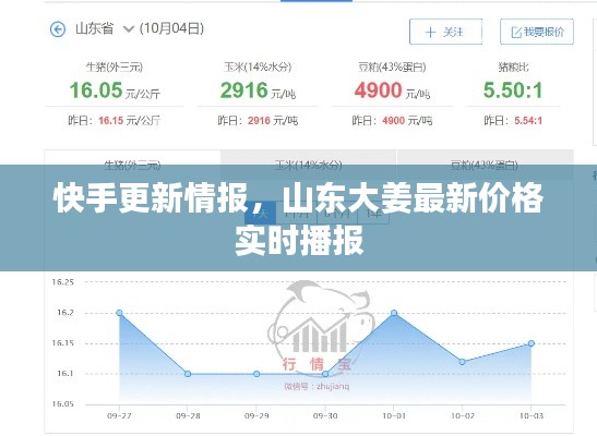 快手更新情报，山东大姜最新价格实时播报