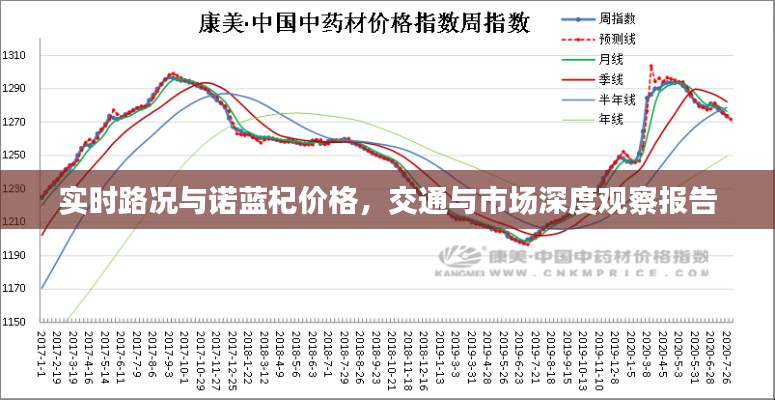 实时路况与诺蓝杞价格，交通与市场深度观察报告
