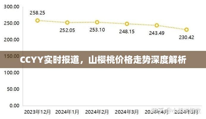 CCYY实时报道，山樱桃价格走势深度解析