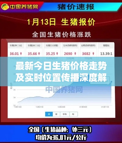 荡然无存