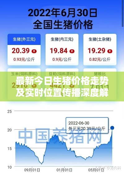 最新今日生猪价格走势及实时位置传播深度解析