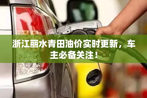 浙江丽水青田油价实时更新，车主必备关注！