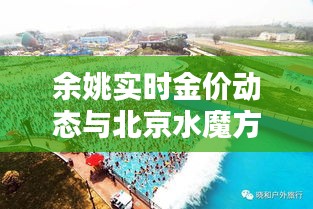 余姚实时金价动态与北京水魔方水上乐园夏日狂欢盛宴