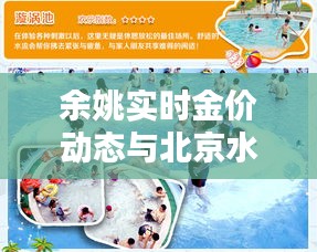 余姚实时金价动态与北京水魔方水上乐园夏日狂欢盛宴