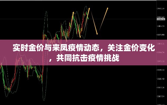实时金价与来凤疫情动态，关注金价变化，共同抗击疫情挑战