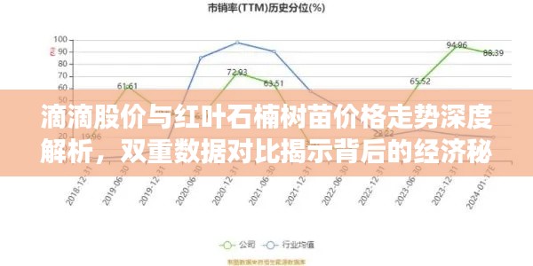 滴滴股价与红叶石楠树苗价格走势深度解析，双重数据对比揭示背后的经济秘密