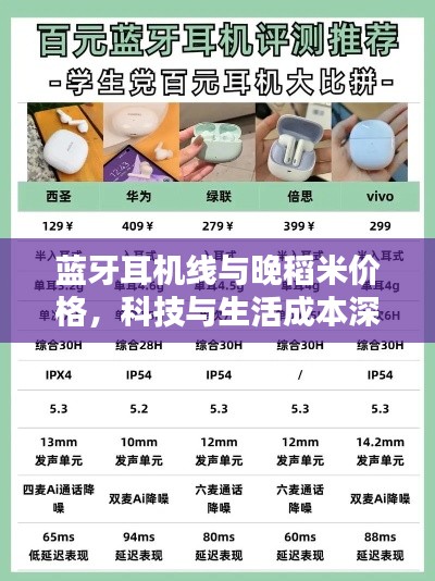 雅人清致