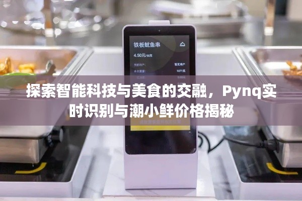 探索智能科技与美食的交融，Pynq实时识别与潮小鲜价格揭秘
