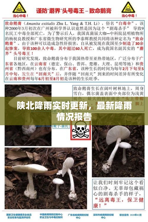 陕北降雨实时更新,最新降雨情况报告
