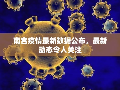 南宫疫情最新数据公布，最新动态令人关注