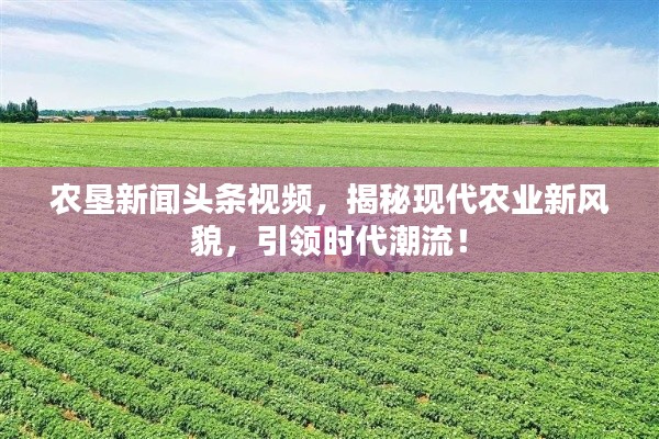 农垦新闻头条视频,揭秘现代农业新风貌,引领时代潮流!