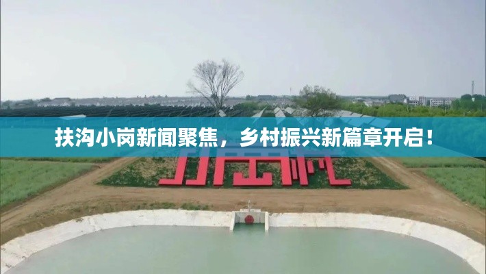 扶沟小岗新闻聚焦，乡村振兴新篇章开启！