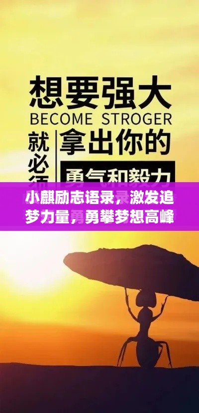 小麒励志语录,激发追梦力量,勇攀梦想高峰