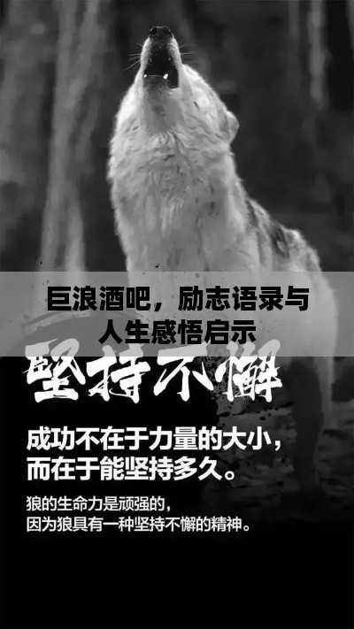 巨浪酒吧,励志语录与人生感悟启示