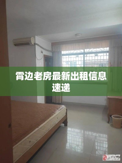 霄边老房最新出租信息速递
