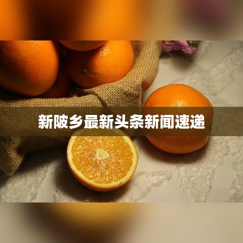 新陂乡最新头条新闻速递