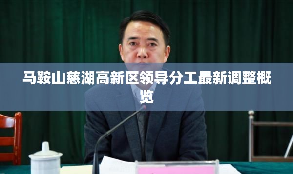 马鞍山慈湖高新区领导分工最新调整概览