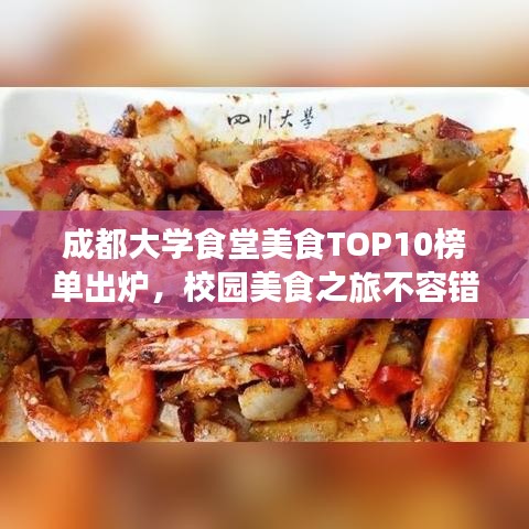 成都大学食堂美食TOP10榜单出炉，校园美食之旅不容错过！