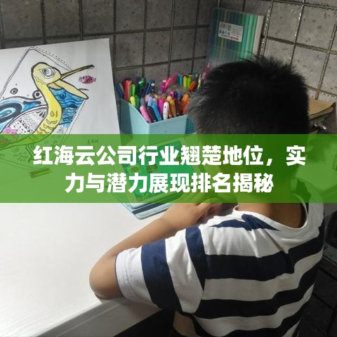 红海云公司行业翘楚地位，实力与潜力展现排名揭秘