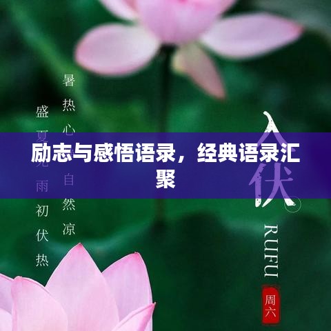 励志与感悟语录，经典语录汇聚