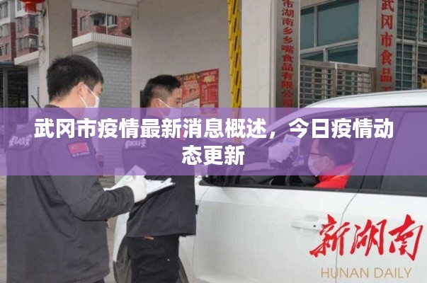 武冈市疫情最新消息概述，今日疫情动态更新