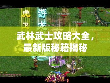 武林武士攻略大全,最新版秘籍揭秘