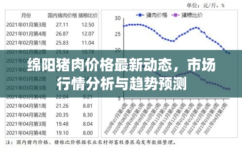 建站服务 第65页