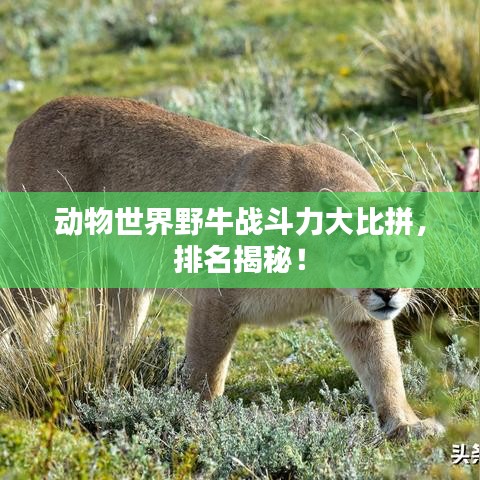 铁杵成针 第2页