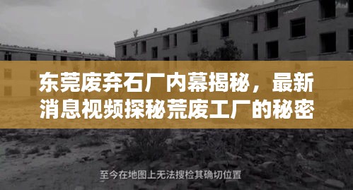 东莞废弃石厂内幕揭秘,最新消息视频探秘荒废工厂的秘密