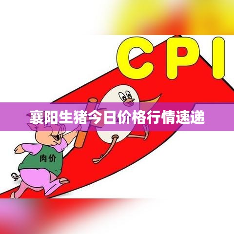 襄阳生猪今日价格行情速递