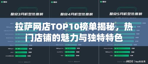 拉萨网店TOP10榜单揭秘,热门店铺的魅力与独特特色