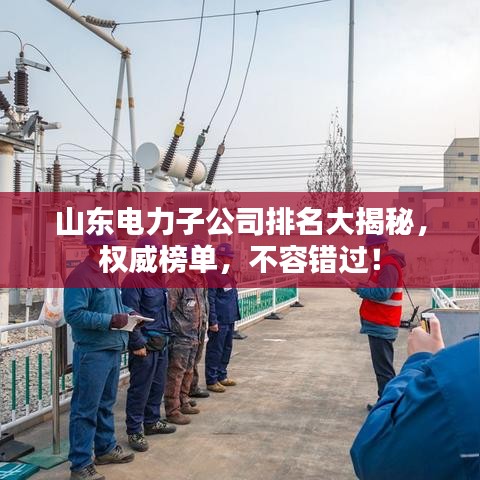 山东电力子公司排名大揭秘，权威榜单，不容错过！