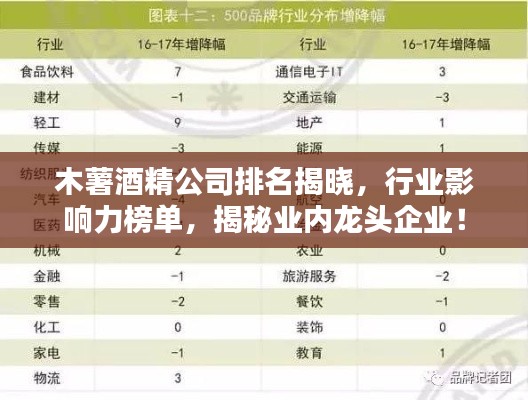 木薯酒精公司排名揭晓，行业影响力榜单，揭秘业内龙头企业！