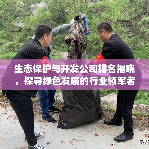 生态保护与开发公司排名揭晓，探寻绿色发展的行业领军者