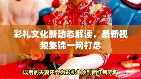 彩礼文化新动态解读,最新视频集锦一网打尽