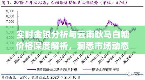 实时金银分析与云南耿马白糖价格深度解析，洞悉市场动态，把握投资先机