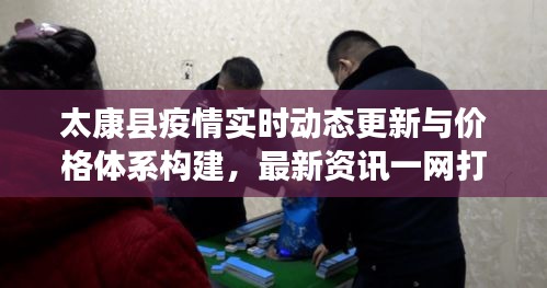 太康县疫情实时动态更新与价格体系构建,最新资讯一网打尽