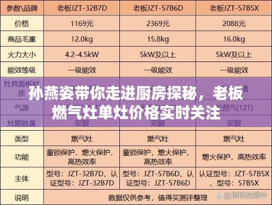 孙燕姿带你走进厨房探秘，老板燃气灶单灶价格实时关注