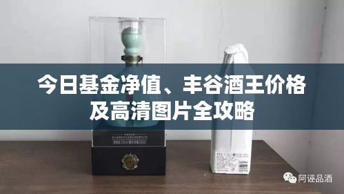今日基金净值、丰谷酒王价格及高清图片全攻略