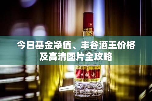 今日基金净值、丰谷酒王价格及高清图片全攻略