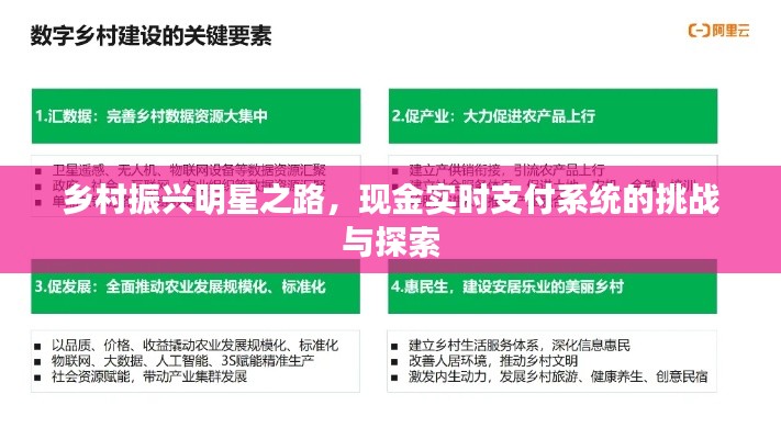 乡村振兴明星之路，现金实时支付系统的挑战与探索