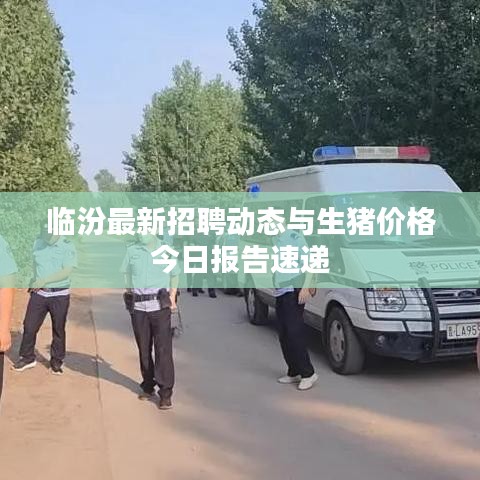 临汾最新招聘动态与生猪价格今日报告速递