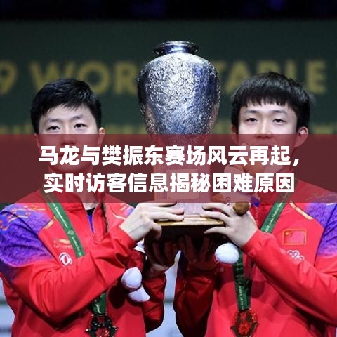 马龙与樊振东赛场风云再起,实时访客信息揭秘困难原因